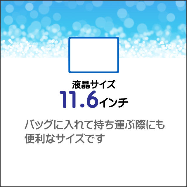 LCD★11.6型液晶ディスプレイ