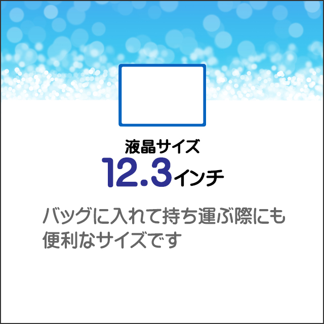 LCD★12.3型液晶ディスプレイ