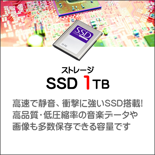 ストレージ★1TB（NVMeSSD）