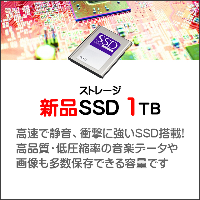 ストレージ★1000GB（新品SSD）