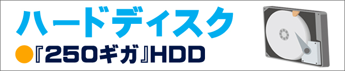 ストレージ★HDD250GB搭載