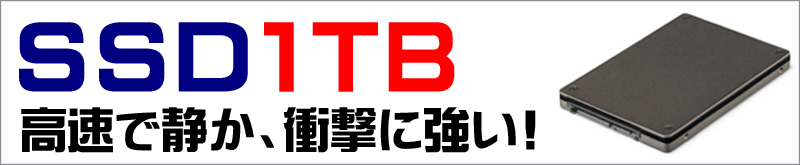 ストレージ★1000GB(SSD1TB)