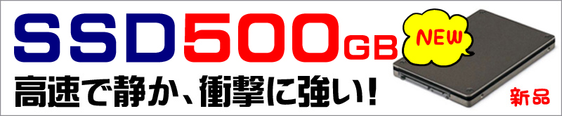 ストレージ★500GB(新品SSD)