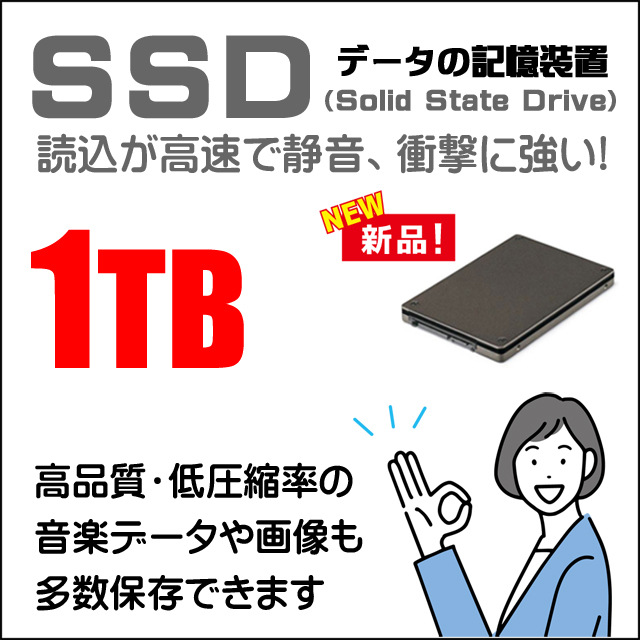 ストレージ★1000GB（新品SSD）